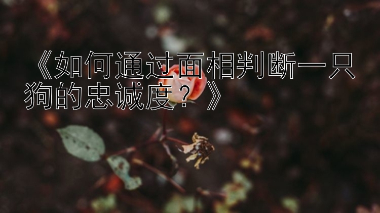 《如何通过面相判断一只狗的忠诚度？》