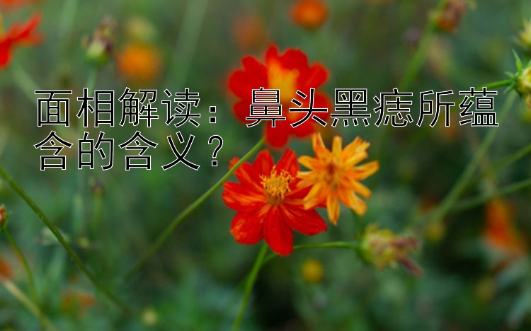 面相解读：鼻头黑痣所蕴含的含义？