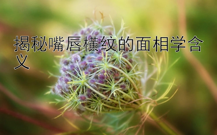 揭秘嘴唇横纹的面相学含义