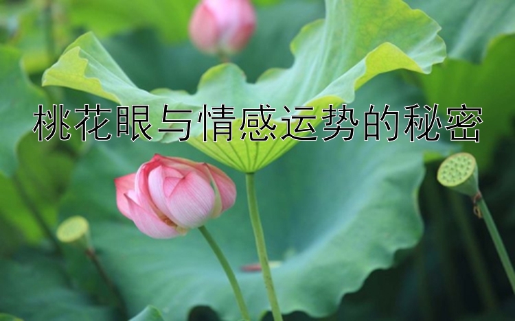 桃花眼与情感运势的秘密