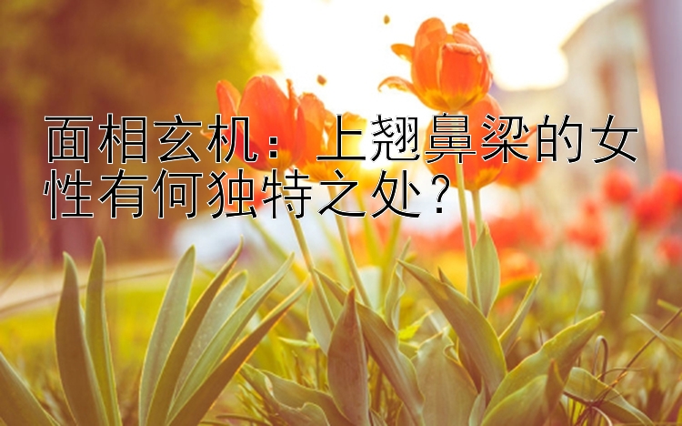 面相玄机：上翘鼻梁的女性有何独特之处？