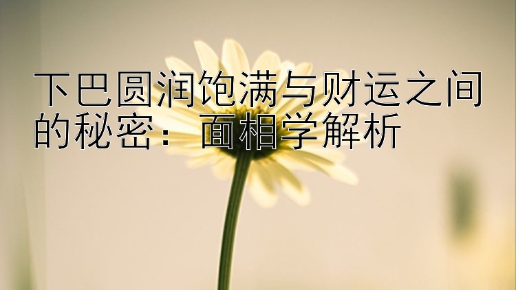 下巴圆润饱满与财运之间的秘密：面相学解析