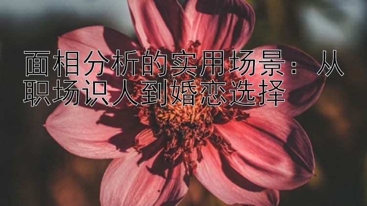 面相分析的实用场景：从职场识人到婚恋选择