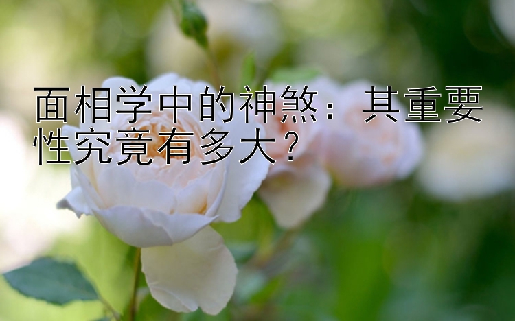 面相学中的神煞：其重要性究竟有多大？