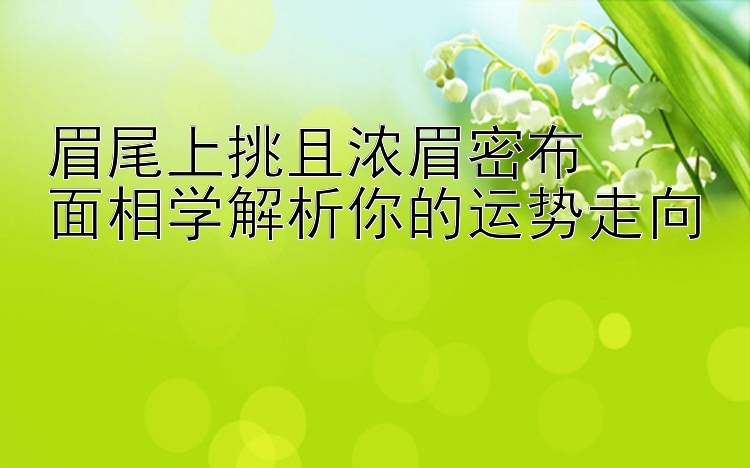 眉尾上挑且浓眉密布  
面相学解析你的运势走向