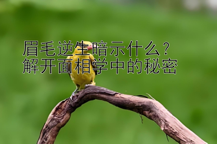 眉毛逆生暗示什么？  
解开面相学中的秘密