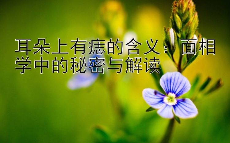 耳朵上有痣的含义：面相学中的秘密与解读