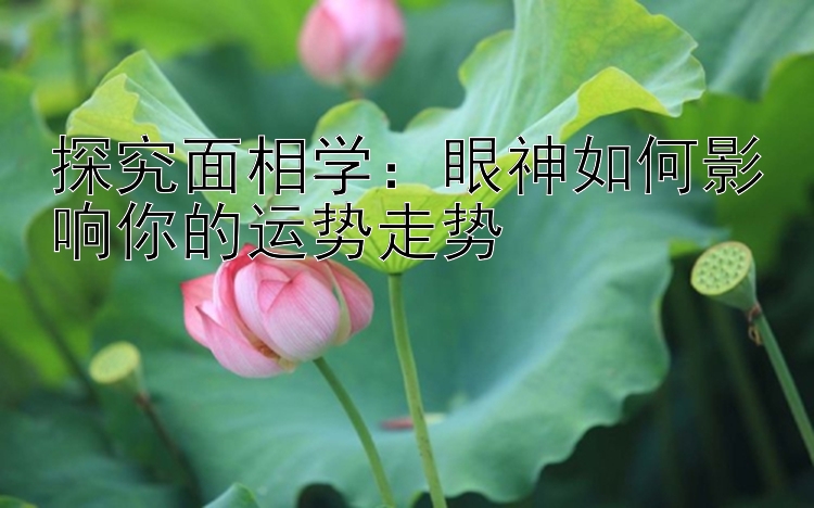 探究面相学：眼神如何影响你的运势走势