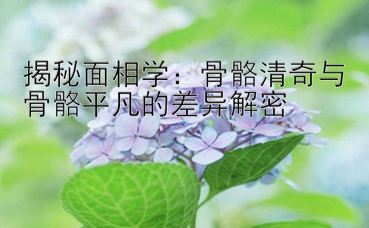 揭秘面相学：骨骼清奇与骨骼平凡的差异解密