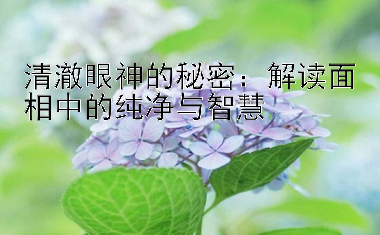 清澈眼神的秘密：解读面相中的纯净与智慧