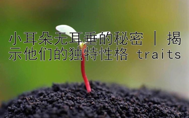 小耳朵无耳垂的秘密 | 揭示他们的独特性格 traits