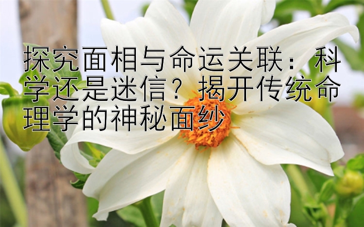 探究面相与命运关联：科学还是迷信？揭开传统命理学的神秘面纱