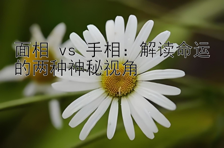 面相 vs 手相：解读命运的两种神秘视角