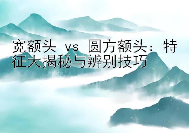 宽额头 vs 圆方额头：特征大揭秘与辨别技巧