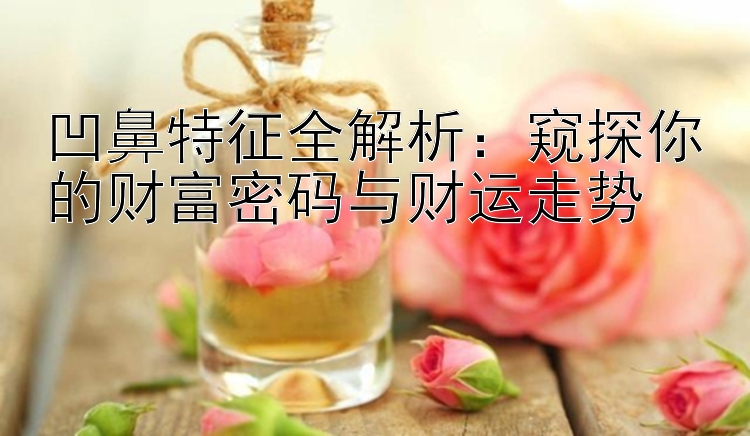 凹鼻特征全解析：窥探你的财富密码与财运走势