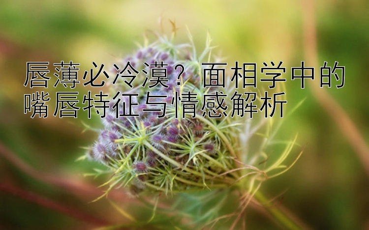 唇薄必冷漠？面相学中的嘴唇特征与情感解析