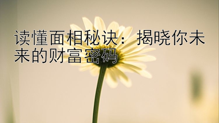 读懂面相秘诀：揭晓你未来的财富密码